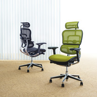 【組立設置込】エルゴヒューマン ベーシック ハイタイプ オフィスチェア エラストメリックメッシュ 肘付 ブラック 座クッション1脚 242173