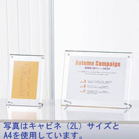 アートプリントジャパン　フェイスファイブフレーム A3（外寸：470×347mm） クリア 3枚