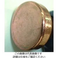 エスコ 0ー206mm/125mm シャコ万力(銅メッキスクリュー) EA526WK-200 1個（直送品）