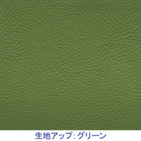 【軒先渡し】オリバー フィットシェルチェア レザーパッド座 白樹脂 座グリーン SCS940WHAL・BL10Y（直送品）
