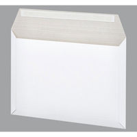 アスクル 「現場のチカラ」 ビジネスレターケース 開封テープなし B4 1パック（25枚入）  オリジナル