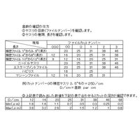エスコ 140/200mm 精密やすり(平・丸・半丸/6本組) EA521VF-36 1組（直送品）