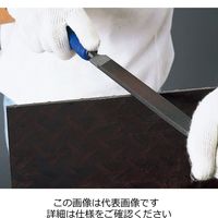 エスコ 250mm 鉄工やすり(平/粗・中ー両面) EA521VR-250G 1本（直送品）