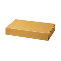 ナチュラルBOX Z-17 006201710 1袋（10枚入）