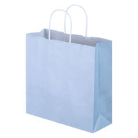 手提げ紙袋　丸紐　パステルカラー　水色　M　1パック（3箱計900枚）　スーパーバッグ  オリジナル