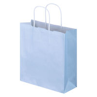 手提げ紙袋　丸紐　パステルカラー　水色　S　1パック（3箱計900枚）　スーパーバッグ  オリジナル