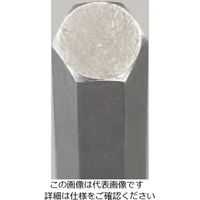 エスコ 3/8”DR/155mm [INHEX]ビットソケットセット EA618WH-100 1セット（直送品）