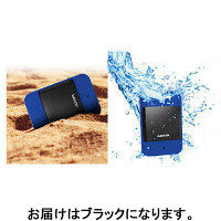 ADATA 防水・耐衝撃G衝撃センサー対応HDD 2TB ブラック AHD700-2TU31-CBK 1台
