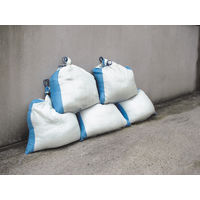 【土のう袋】 エイ・エム・ジェイ 土のう袋 50枚パック スーパーブルーライン PE-108 1パック（50枚入）