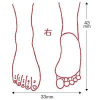 サンビー 人体図ゴム印 右足31 JING-31 1個