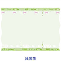 日油技研工業 滅菌バッグTS-3005C350 TS-3005C350 1袋(600枚入)