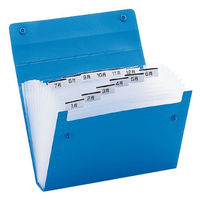 キングジム ドキュメントファイル エコノミータイプ A4 黒 2274クロ 1冊