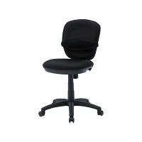 サンワサプライ　チェア用ランバーサポート　SNC-LUMBAR　（直送品）