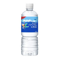 アサヒ飲料 アサヒ おいしい水富士山のバナジウム天然水 600ml 1箱（24本入）