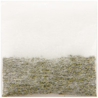 大井川茶園　お手軽急須用緑茶ティーバッグ　1袋（50バッグ入）