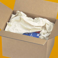 カラーボーカスペーパー クリーム ミシン目あり 幅538mm×長さ350m巻 DAB04 1巻 ダイトス ハピラ