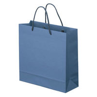 ナチュラルカラー手提袋　丸紐　藍色　M　1袋（5枚入）　スーパーバッグ  オリジナル