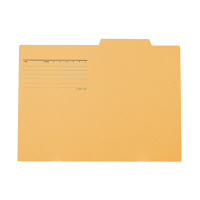 プラス　個別フォルダー　B4　イエロー　FL-068IF　87437　1箱（100枚：10枚入×10袋）