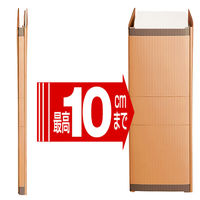 セキセイ　のびーるファイル　エスヤード　A4タテ　イエロー　100冊　AE-50F-50