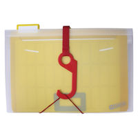 エセルテ　A4ソーテッド　ホットカラー　22341　1セット（3個：1個×3）