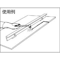 カネテック ガイドスケール GSー2 1台(1個)（直送品）