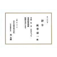 オキナ OA対応辞令・賞状用紙B5 SZB5 1袋(10枚入)（直送品）
