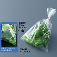 防曇（ボードン）袋 0.02mm厚 穴あり（4つ穴） 10号 1袋（100枚入）