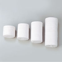 弾性包帯　エルテクト 3号 053 1箱(10巻入)　日本シグマックス