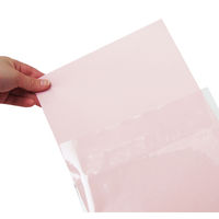 カクケイ　クリアー封筒フタ付　A4　A4-20　20枚