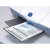 マルマン ルーズリーフ A4 e-leaf 無地 50枚 5冊入 L300S-06