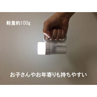 パナソニック 電池がどっちかライトホワイト BF-BM01P-W