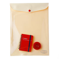 ビニールブリーフケース　A4　グリーン　緑　クリアケース　デルフォニックス