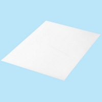 アスクル　クリアホルダー　A2　1袋（10枚）　再生　ファイル  オリジナル