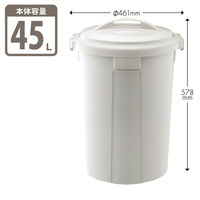 リス 丸ペール 45L ゴミ箱 ライトグレー 1個 シンプル ダストボックス  丸型ペール フタ式 日本製 直径461×高さ578mm