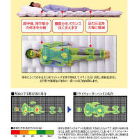Danfill　ドライウォーターベッド（DX）シングル100　デラックス　KPL053　（直送品）