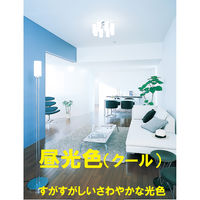 パナソニック　三波長形蛍光ランプ　40W形　ラピッドスタート形　昼光色　FLR40SEXDMX36　4K　1箱（4本入）