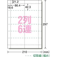 エーワン（A-one）手作りチケット 2列6連 連続タイプ マット紙 プリンタ兼用  A4 12面  20シート  51469