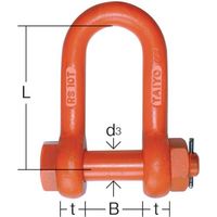 大洋製器工業 大洋 軽量シャックル RSー20t(1062634) RS-20T 1個 331-9482（直送品）