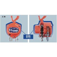 エスコ 1.0tonx2.5m チェーンブロック EA987CK-2.5 1台（直送品）