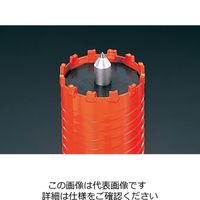 エスコ 100mm 乾式ダイアモンドコアドリル(SDS) EA865CA-100 1本（直送品）