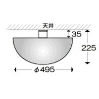 エスコ φ495x225mm ドーム型ミラー(アクリル製) EA724ZK-1 1個（直送品）