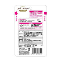 【介護食】 ホリカフーズ おいしくミキサー 大豆の煮物 1袋