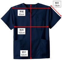 ディーフェイズ スクラブ DS2001 1枚　スクラブ（直送品）