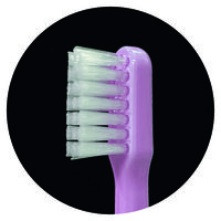 ストリックスデザイン　 歯科用歯ブラシ ふつう 5色アソート 1袋（20本入）