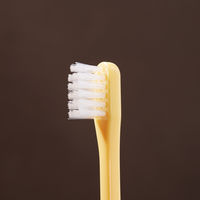 ラピス　ミニヘッド歯ブラシ　ふつう　4色アソート　1袋（20本入）