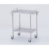 アズワン ストレージステンレスカート 2段 (幅600mm) CHS-2 1台 8-7465-01（直送品）