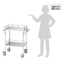 アズワン サイドネットワゴン 天板4方手摺付き 600×450×855mm Bタイプ 1台 0-1578-02（直送品）