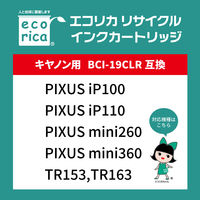 エコリカ キヤノン（Canon）用 リサイクルインク ECI-C19C 4色(ブラック/シアン/マゼンタ/イエロー) BCI-19CLR対応 1個