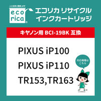 エコリカ キヤノン（Canon）用 リサイクルインク ECI-C19B ブラック BCI-19BK対応 1個