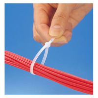 INSULOK(R) (インシュロック) ケーブルタイ 使い切り 屋内用 100mm 乳白 AB100 1パック (100本入)